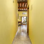 Apartament 19 *